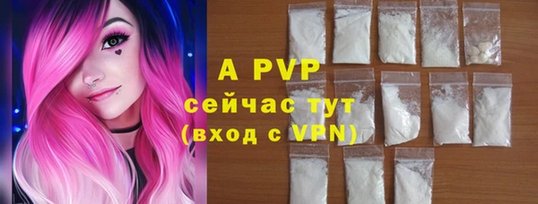 стаф Аркадак
