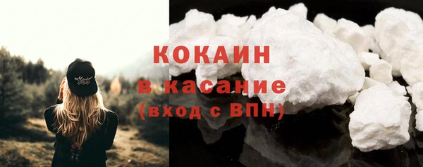 стаф Аркадак