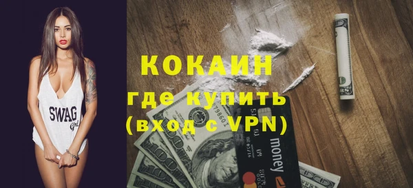 стаф Аркадак